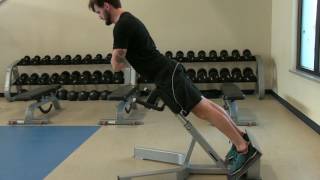 Erector Spinae Workout Prevent Erector Spinae Pain Strain and Injury [upl. by Allmon462]