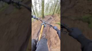 Llandegla off piste 👌 one planet adventure  orbea Rallon  insta 360 [upl. by Noletta]