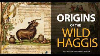 Origins Of The Wild Haggis Animal [upl. by Ivana]