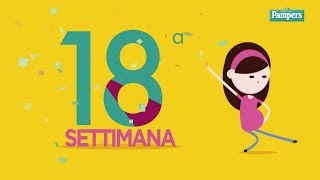 18° settimana di gravidanza [upl. by Avonasac]