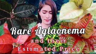 60 RARE AGLAONEMA VARIETIES AND THEIR ESTIMATED PRICES [upl. by Acessej]