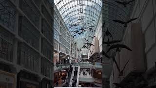 Toronto Eaton Centre [upl. by Corry]