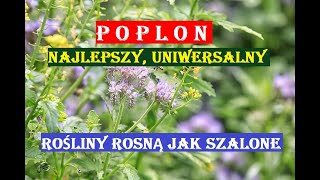 POPLON  NAJLEPSZY I UNIWERSALNY KTÓRY ROŚLINY UWIELBIAJĄ PIĘKNIE ROSNĄ I MOCNO PLONUJĄ [upl. by Anpas]