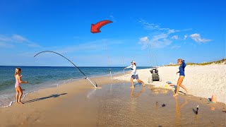 2 Hours of Catching Sharks on Public Beaches [upl. by Oicirbaf]