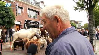 Paardenmarkt Elst [upl. by Kinata677]