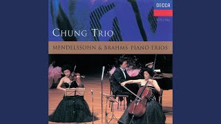 Mendelssohn Piano Trio No 1 in D Minor Op 49 MWV Q29  1 Molto allegro ed agitato [upl. by Mosby305]