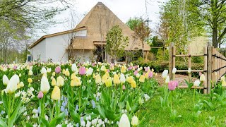 Floriade Expo 2022 AmsterdamAlmere [upl. by Eerased]