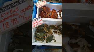 🦀 Crab prices England and SriLanka [upl. by Arihsay618]