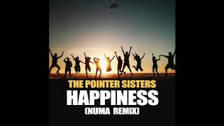 The Pointer Sisters  Happiness NUMA A TFIVE REMIX [upl. by Conyers101]