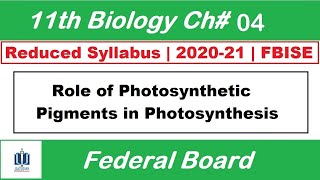 Lecture2  Role of Photosynthetic Pigments in Photosynthesis Ch4  Bioenergetics  11 Bio [upl. by Lebar13]