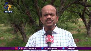 అన్నదాత  15th July 2023  Annadata  Full Bulletin  ETV Telangana [upl. by Rawden]