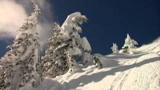 Arbor Snowboards  Joe Bosler amp The Northwest Powder [upl. by Girovard]