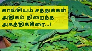 Agathi keerai  அகத்திக்கீரை  பயன்கள்  Medicinal uses [upl. by Ariad828]