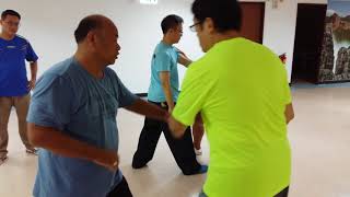 Zeng Xiang Bo Tai Chi Push Hands instruction The mix of the basic patterns [upl. by Katherina]