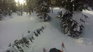 March 2024 Colorado snowmobile trip  Craig Pt3 in the trees [upl. by Nola]