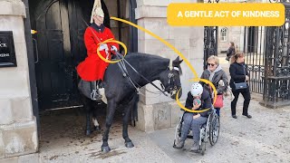 A Gentle Act of Kindness Kings Guard Moves Horse Closer to Special Lady at Horse Guards [upl. by Shornick]