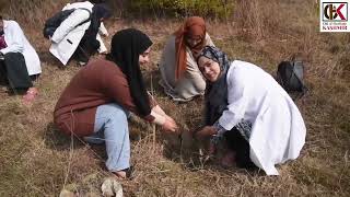 GMC Srinagar conducted Mega Plantation Drive in Mulnar Upper Dachigam Srinagar [upl. by Elime567]