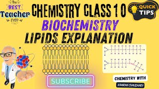 lipids biochemistry class 10  lipids biochemistry  lipids biochemistry in urdu [upl. by Anallij]