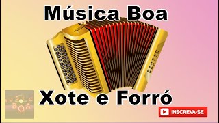 FORRO JUNINO  MUSICA BOA  Melhores Músicas Juninas São João  Brazilian music [upl. by Enahsal]