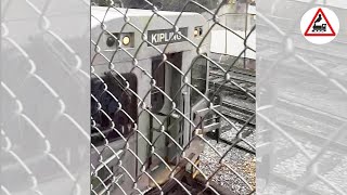 TTC subway train coming out of a tunnel in Toronto [upl. by Rorry73]