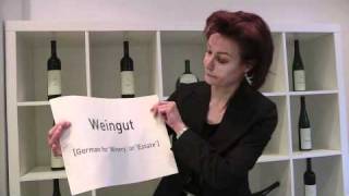 How to pronounce German Wine  Was wir Ihnen eigentlich nicht zeigen wollten [upl. by Wennerholn]