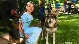 The Littlest Hobo Season 6 Episode 6 Lucky [upl. by Ardnasal]