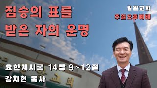 짐승의 표를 받은 자의 세 운명 [upl. by Suedaht]