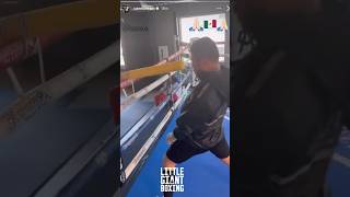 CANELO DRILLING HEAD MOVEMENT amp DEFENSE FOR JERMELL CHARLO [upl. by Alleiram65]