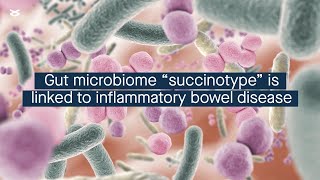 Gut microbiome “succinotype” is linked to inflammatory bowel disease [upl. by Wind453]