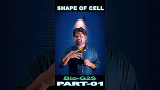 morphology of cell  shape and size of cell  part 1 [upl. by Nahum]