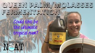 The Ultimate Tropical Rum Fermentation [upl. by Ddat]