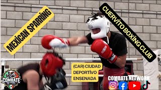 Cuervito Boxing Club y CAR Boxing Club de Ensenada Ciudad Deportivo Sparring 8 61524 boxing [upl. by Niltyak]