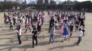 Cirnos Perfect Math Class by 300 jpn personz [upl. by Wilhelm]