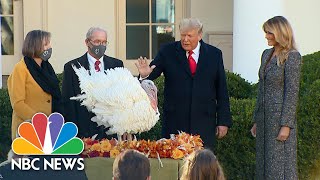 Watch Trump Hosts 2020 White House Turkey Pardon Introduces ‘Corn’ And ‘Cob’  NBC News NOW [upl. by Anul]