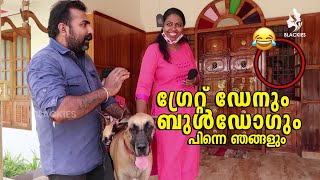 BLACKIES VLOG  Epi 36  MANJU PATHROSE I SIMI SABU I ഗ്രേറ്റ് ഡേനും ബുള്‍ഡോഗും പിന്നെ ഞങ്ങളും [upl. by Olatha]