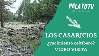 Los Casaricios ¿yacimiento celtíbero Vídeo visita  PelayoTV [upl. by Sarkaria760]