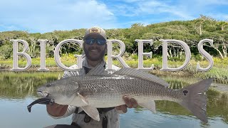 Creek Monsters Explosive Redfish Action in Jacksonville  Tournament Ep 3 [upl. by Yluj]