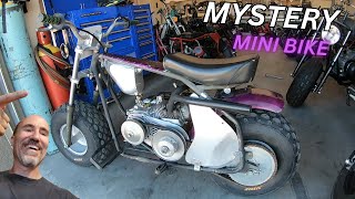 Mini bike with unknown engine mods will it run [upl. by Hillery]