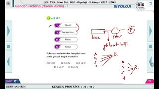 Mavi Set Biyoloji 3  Genden Proteine Nükleik Asitler  1🔬 [upl. by Ardek]