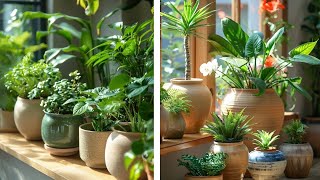 small indoor garden decor ideas [upl. by Aikenat]