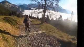 Rigi Unicycle Training  1Rad  Einrad  Downhill [upl. by Medin524]