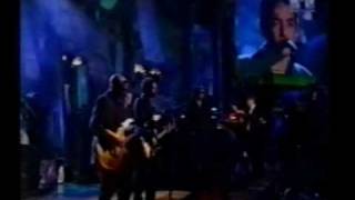 The Wallflowers  Heroes  Live 1998 [upl. by Emersen]