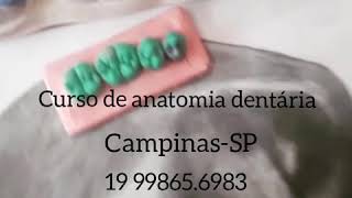 Curso anatomia dentária CampinasSP [upl. by Wilmott]