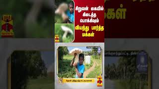 சிறுவன் கையில் கிடைத்த பொக்கிஷம்  வியந்து பார்த்த மக்கள் [upl. by Aztiley]