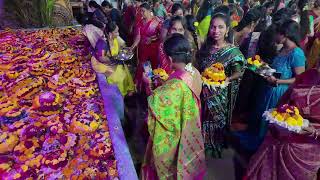 celebrate the bathukamma cultural festival  2024 [upl. by Ashraf]