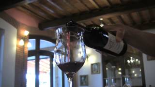 THE PAINFUL TRUTH ABOUT WINE AND SULFITES [upl. by Damiani]