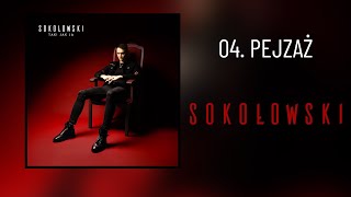 04 SOKOŁOWSKI  Pejzaż oficjalny odsłuch albumu [upl. by Einahpets]