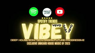 Vibey Deep House Mix Spotify x Vevo [upl. by Meeharbi337]