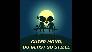 Guter Mond DAS BIRKNER DUO [upl. by Luckin]