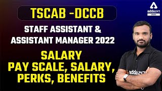 TSCAB DCCB Staff Assistant amp Assistant Manager 2022 Salary  Pay Scale Salary Perks Benefits [upl. by Gnanmos]